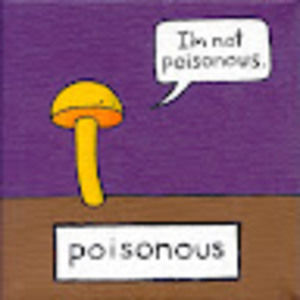 Meet your Posher, Ellery